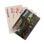 safari card