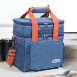 Brivilas Insulated Lunch Bag