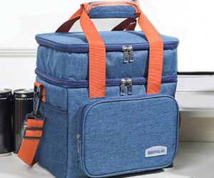 Brivilas Insulated Lunch Bag